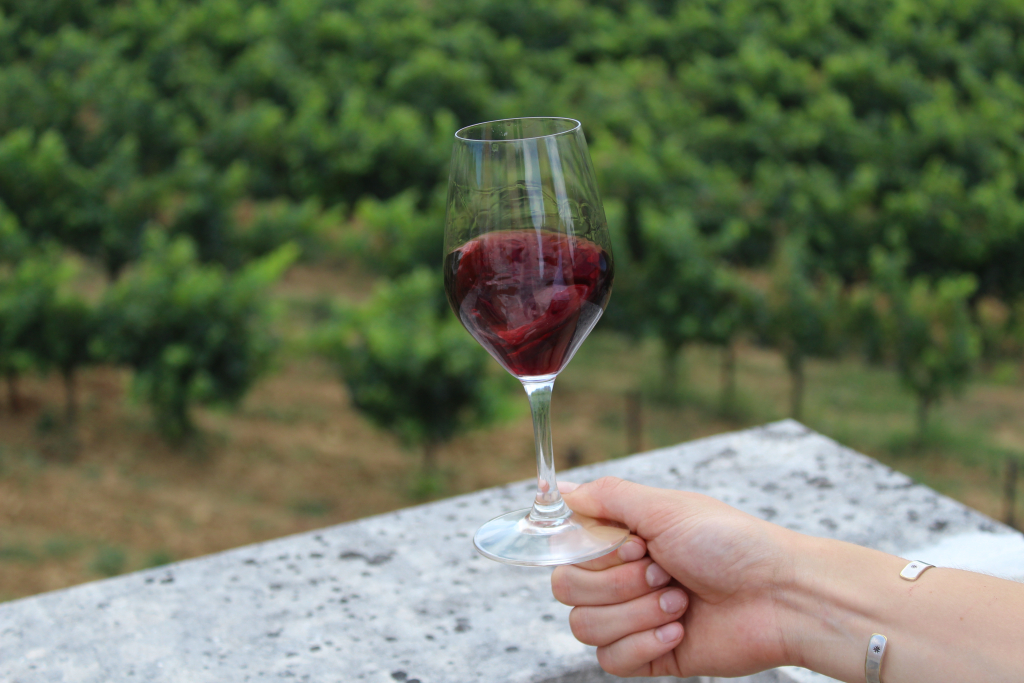 verre de vin en mouvement vigne 